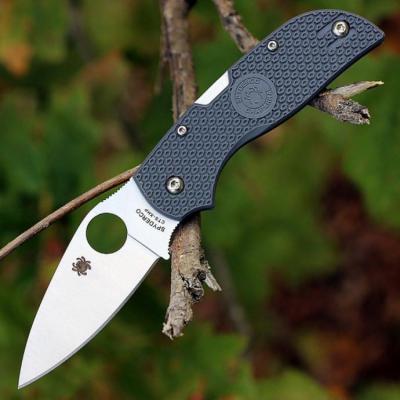 Couteau Spyderco Chaparral Lame Acier CTS HXP Manche Gray FRN Lockback SC152PGY - Free SHipping