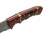 DM1366 Poignard de Chasse Rodeo Hunter Lame Damas 256 Couches Etui Cuir - Livraison Gratuite 