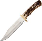 WN6220060W Poignard Winchester Bowie Imitation Corme Lame Acier Inox Etui Nylon - Livraison Gratuite