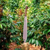 CTK2012175HC Machette Condor Indigenous | Lame 44 cm Acier Carbone 1075 | Manche Noyer & Housse Cuir - Made in El Salvador - Livraison Gratuite