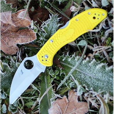 Couteau Spyderco Salt 2 Yellow Acier H1 Manche FRN Made Japan SC88PWCYL2 - Livraison Gratuite