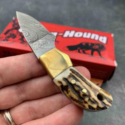 FH121 Couteau Fox-N-Hound Mini Skinner Damas 256 Couches Etui Cuir - Livraison Gratuite