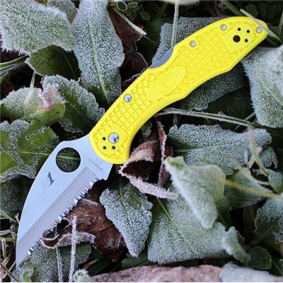 Couteau Spyderco Salt 2 Yellow Acier H1 Serrated Manche FRN Made Japan SC88SWCYL2 - Livraison Gratuite