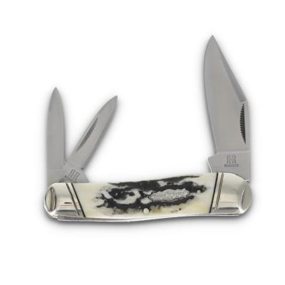 RR2575  Couteau Rough Ryder Whittler Clip Point Acier 440 Manche Black Stag-Bone Slip Joint - Livraison Gratuite