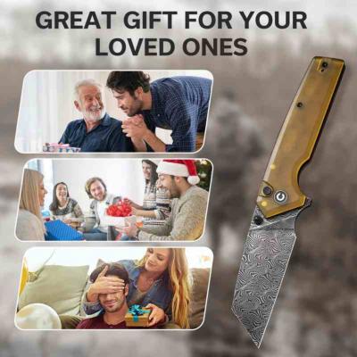 CIVC23028DS1 – CIVIVI Amirite Damas – Couteau Lame Wharncliffe Acier Damas Manche Ultem Button Lock – Livraison Gratuite