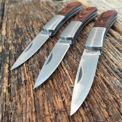 Lot de 3 Couteau De Poche EDC Lame Acier Inox Manche Bois CN210217 - Livraison Gratuite