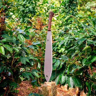 CTK2012175HC Machette Condor Indigenous | Lame 44 cm Acier Carbone 1075 | Manche Noyer & Housse Cuir - Made in El Salvador - Livraison Gratuite