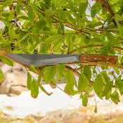 CTK3982115HC Couteau Condor Hmong Machete Drop Point 1075 High Carbon - Manche Micarta - Étui Cuir - Livraison Gratuite