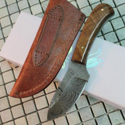 Couteau de Chasse Skinner Lame Damas 258 Couches Manche Olivier Etui Cuir DM1080OW - Free SHipping