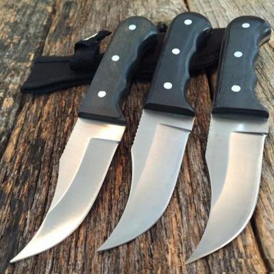 Lot de 3 Couteaux Short Skinner Lame Acier Inox Manche Bois Etui Nylon CN211187 - Free Shipping