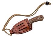 CTK81027HC Couteau de Cou Beetle Condor Lame Acier Carbone 1095 Étui en Cuir Fabriqué au Salvador - Livraison Gratuite